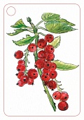 ���� �92
