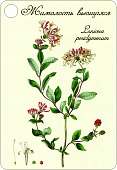 ���� �5�