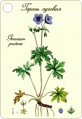 ���� �4�