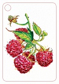 ���� �87