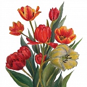 �������� �5 �42