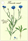 ���� �2�