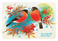 ���������� 2027 �21