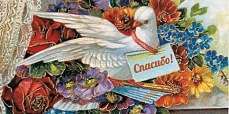 ������� ��� ����� �26