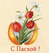�������� �5 �48